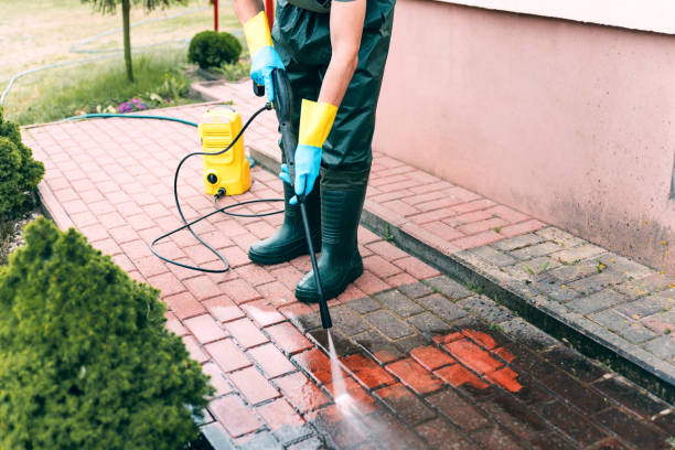Best Factory Floor Cleaning  in Monette, AR
